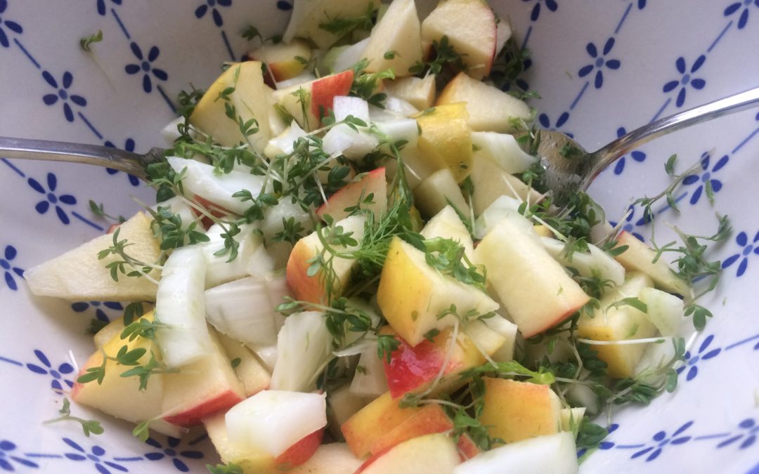 Appel-venkel salade