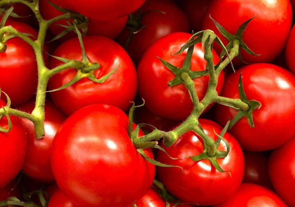 histamine tomaten